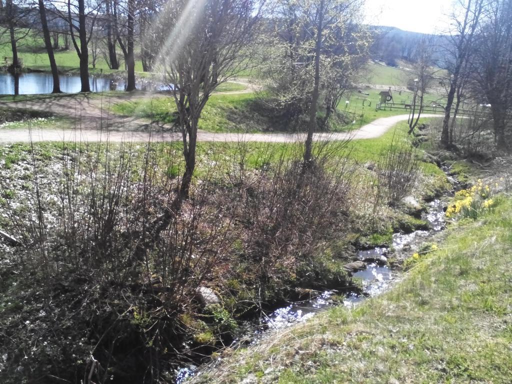 Apartment Schluchsee Bagian luar foto